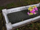 image of grave number 85234